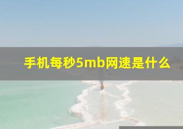 手机每秒5mb网速是什么