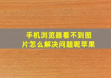 手机浏览器看不到图片怎么解决问题呢苹果