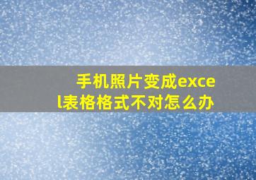 手机照片变成excel表格格式不对怎么办