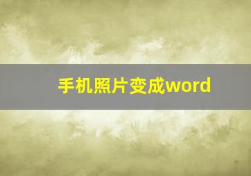 手机照片变成word