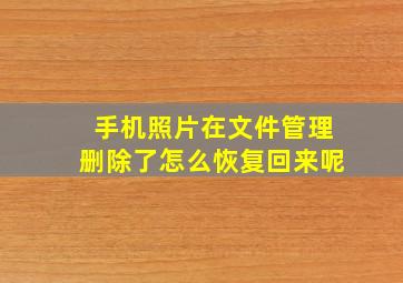 手机照片在文件管理删除了怎么恢复回来呢