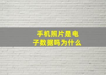 手机照片是电子数据吗为什么