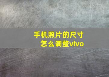 手机照片的尺寸怎么调整vivo