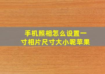 手机照相怎么设置一寸相片尺寸大小呢苹果