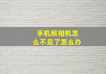 手机照相机怎么不见了怎么办