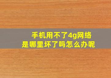 手机用不了4g网络是哪里坏了吗怎么办呢