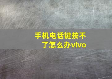 手机电话键按不了怎么办vivo