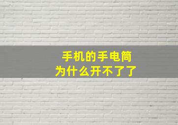 手机的手电筒为什么开不了了