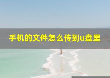 手机的文件怎么传到u盘里