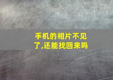 手机的相片不见了,还能找回来吗