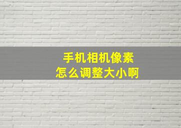 手机相机像素怎么调整大小啊