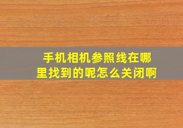 手机相机参照线在哪里找到的呢怎么关闭啊