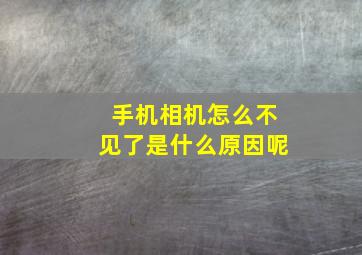 手机相机怎么不见了是什么原因呢