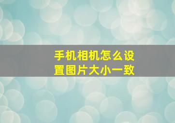 手机相机怎么设置图片大小一致