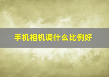 手机相机调什么比例好