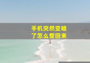 手机突然变暗了怎么整回来