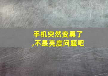 手机突然变黑了,不是亮度问题吧