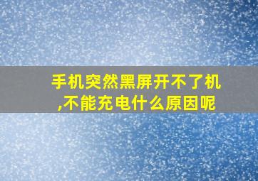 手机突然黑屏开不了机,不能充电什么原因呢