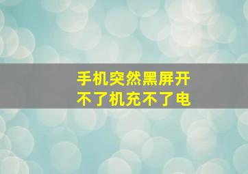 手机突然黑屏开不了机充不了电