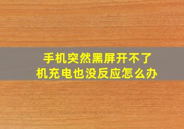 手机突然黑屏开不了机充电也没反应怎么办