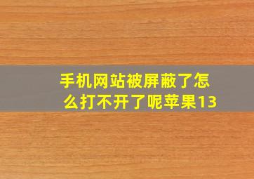 手机网站被屏蔽了怎么打不开了呢苹果13