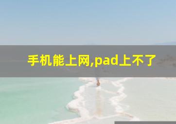 手机能上网,pad上不了