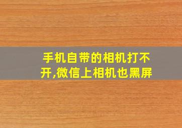 手机自带的相机打不开,微信上相机也黑屏