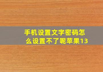 手机设置文字密码怎么设置不了呢苹果13