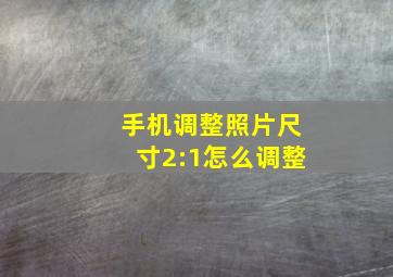 手机调整照片尺寸2:1怎么调整