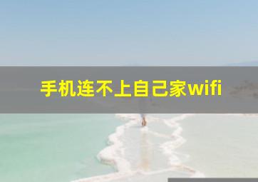 手机连不上自己家wifi