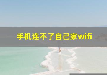 手机连不了自己家wifi