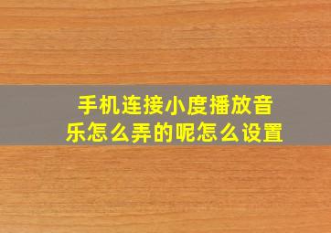 手机连接小度播放音乐怎么弄的呢怎么设置