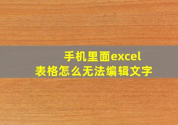 手机里面excel表格怎么无法编辑文字