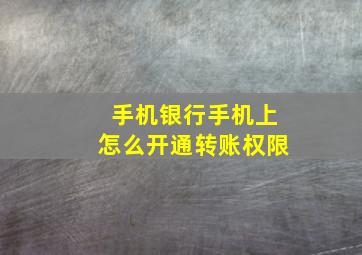 手机银行手机上怎么开通转账权限