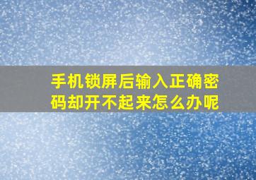 手机锁屏后输入正确密码却开不起来怎么办呢