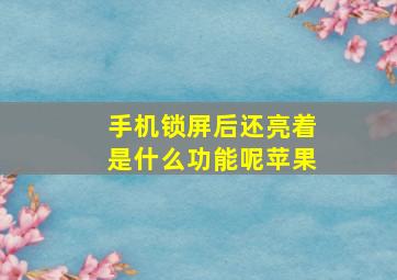 手机锁屏后还亮着是什么功能呢苹果