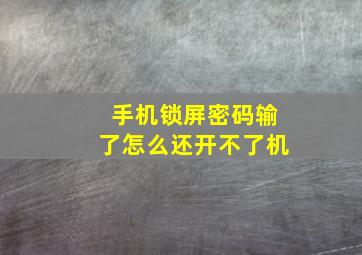 手机锁屏密码输了怎么还开不了机