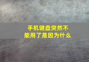 手机键盘突然不能用了是因为什么