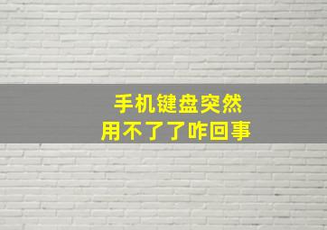 手机键盘突然用不了了咋回事