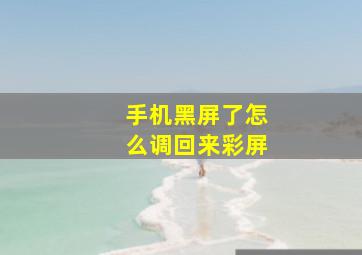 手机黑屏了怎么调回来彩屏