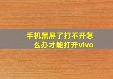 手机黑屏了打不开怎么办才能打开vivo