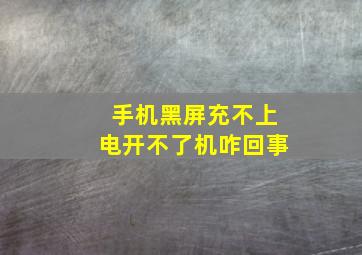 手机黑屏充不上电开不了机咋回事