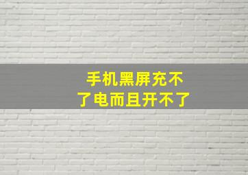 手机黑屏充不了电而且开不了