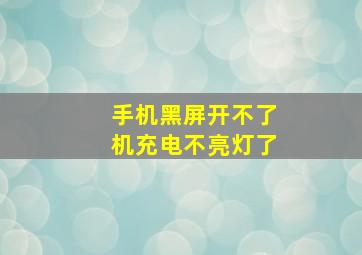 手机黑屏开不了机充电不亮灯了