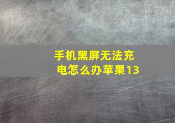 手机黑屏无法充电怎么办苹果13