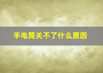 手电筒关不了什么原因