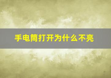 手电筒打开为什么不亮