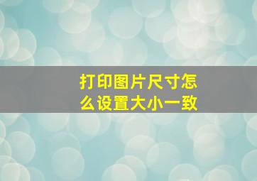 打印图片尺寸怎么设置大小一致