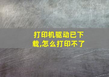 打印机驱动已下载,怎么打印不了