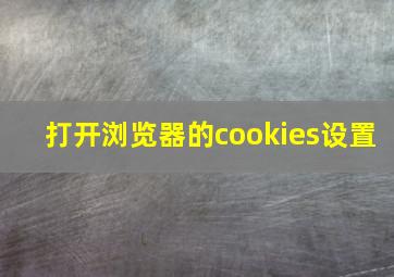 打开浏览器的cookies设置